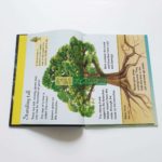 Bộ sách Usborne Beginners Nature Box Set Collection -10 cuốn 12 20210330 145735 01 scaled