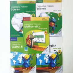 Cambridge Global Level 4