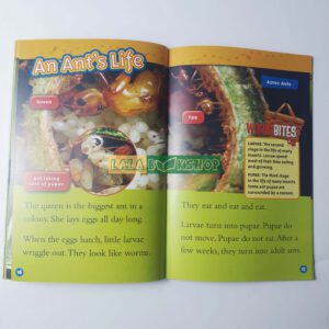 20210602 123635 01 1