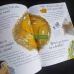 Bộ sách tự hỏi vì sao I Wonder Why ( sách nhập khẩu - 25 cuốn ) 1 3b70c53eac1d5e43070c19