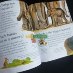 Bộ sách tự hỏi vì sao I Wonder Why ( sách nhập khẩu - 25 cuốn ) 7 ee74b93cd01f22417b0e20