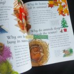 Bộ sách tự hỏi vì sao I Wonder Why ( sách nhập khẩu - 25 cuốn ) 8 f97a44492d6adf34867b18