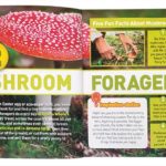 180501156 832933917318348 399050722143634051 n