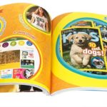 180827747 832934043985002 7921147602209557720 n