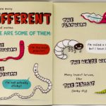 181828920 835797003698706 7862196856794474914 n