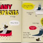 182453213 835797283698678 7799132881838852541 n