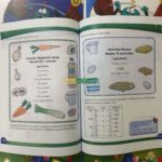 20210409 155723 01 scaled