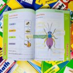 z6138317802259 b8a57fcf58155c7d20fce966f7fc320a