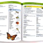 Bộ sách từ điển Hình Ảnh của Oxford - 7 cuốn 3 40406640 1429272413874467 5987579500370591744 n