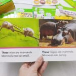 Bộ sách Nonfiction Sight Word Readers - 25 cuốn 1 90672306 2015955811872788 8847015902521065472 n