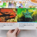 Bộ sách Nonfiction Sight Word Readers - 25 cuốn 2 90756321 2015956008539435 2126093765973114880 n