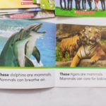 Bộ sách Nonfiction Sight Word Readers - 25 cuốn 3 90793312 2015955761872793 2326301669316362240 n