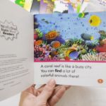 Bộ sách Nonfiction Sight Word Readers - 25 cuốn 4 90995447 2015955978539438 7724131797159641088 n