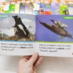 Bộ sách Nonfiction Sight Word Readers - 25 cuốn 9 91101087 2015955958539440 4165098097833148416 n