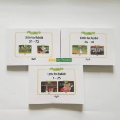 Little fox Level the world of peter rabbit