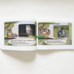 Little Fox Level 2 Meet the Animals - Trọn bộ 63 Truyện Kèm File Nghe và Video 2 20210701 164422 01 scaled