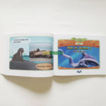 Little Fox Level 2 Meet the Animals - Trọn bộ 63 Truyện Kèm File Nghe và Video 4 20210701 164439 01 scaled