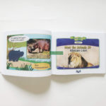 Little Fox Level 2 Meet the Animals - Trọn bộ 63 Truyện Kèm File Nghe và Video 5 20210701 164451 01 scaled