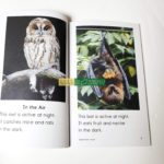 Bộ Sách Razkids Level F - Sách Nhập Khẩu In Gộp 10 cuốn (Trọn Bộ File Nghe Kèm cuốn Quiz) 6 20210724 154816 01 scaled