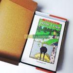 Bộ Sách Razkids Level A - Sách Nhập Khẩu In Gộp 10 cuốn (Trọn Bộ File Nghe Kèm cuốn Quiz) 1 20210724 160949 01