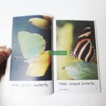 Bộ Sách Razkids Level A - Sách Nhập Khẩu In Gộp 10 cuốn (Trọn Bộ File Nghe Kèm cuốn Quiz) 7 20210724 162250 01 scaled