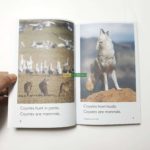 20210812 144008 01 scaled