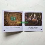 Bộ Sách Nhập Khẩu Scholastic Guided Science Reader - Trọn Bộ 81 Cuốn Truyện 2 20211210 063505926 ios scaled