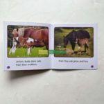 Bộ Sách Nhập Khẩu Scholastic Guided Science Reader - Trọn Bộ 81 Cuốn Truyện 3 20211210 063522974 ios scaled