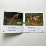 Bộ Sách Nhập Khẩu Scholastic Guided Science Reader - Trọn Bộ 81 Cuốn Truyện 8 20211210 063937476 ios scaled