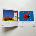 Bộ Sách Nhập Khẩu Scholastic Guided Science Reader - Trọn Bộ 81 Cuốn Truyện 12 20211210 064536924 ios scaled