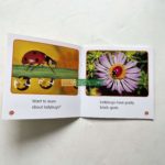 Bộ Sách Nhập Khẩu Scholastic Guided Science Reader - Trọn Bộ 81 Cuốn Truyện 13 20211210 064543897 ios scaled