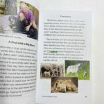 Bộ Sách Razkids In Gộp Level S - Trọn Bộ 88 Truyện ( Kèm Audio Và Quiz ) 1 20220315 113812379 ios