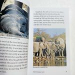 Bộ Sách Razkids In Gộp Level S - Trọn Bộ 88 Truyện ( Kèm Audio Và Quiz ) 2 20220315 113814226 ios