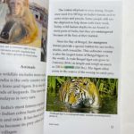 Bộ Sách Razkids In Gộp Level S - Trọn Bộ 88 Truyện ( Kèm Audio Và Quiz ) 5 20220315 113828077 ios