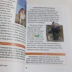 Bộ Sách Razkids In Gộp Level V - Trọn Bộ 87 Truyện ( Kèm Audio Và Quiz ) 2 20220316 190955 01