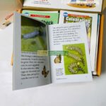 Bộ Sách Razkids In rời và In Gộp Level N - Trọn Bộ 80 Truyện ( Kèm Audio Và Quiz ) 5 3 level n