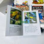 Bộ Sách Razkids In rời và In Gộp Level M - Trọn Bộ 81 Truyện ( Kèm Audio Và Quiz ) 7 5 level m