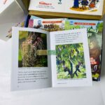 Bộ Sách Razkids In Rời và In Gộp Level O - Trọn Bộ 85 Truyện ( Kèm Audio Và Quiz ) 6 5 level o