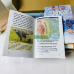 Razkids In rời và In Gộp Level L