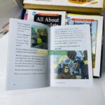 Bộ Sách Razkids In Rời và In Gộp Level O - Trọn Bộ 85 Truyện ( Kèm Audio Và Quiz ) 7 6 level o