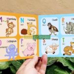 Bộ Sách Song Ngữ My First Picture Book - Trọn Bộ 10 Quyển ( kèm Audio ) 1 My First Picture Book