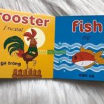 Bộ Sách Song Ngữ My First Picture Book - Trọn Bộ 10 Quyển ( kèm Audio ) 3 z3210206824988 4a14830515a5cce8da09abf392c6f75f