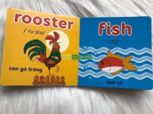 Bộ Sách Song Ngữ My First Picture Book - Trọn Bộ 10 Quyển ( kèm Audio ) 8 z3210206824988 4a14830515a5cce8da09abf392c6f75f