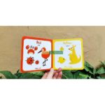 Bộ Sách Song Ngữ My First Picture Book - Trọn Bộ 10 Quyển ( kèm Audio ) 6 z3210206875105 c1c85bfc3a40e715a1f6bc80eadf48d9