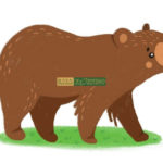 Bộ Sách Brown Bear Song Ngữ 4 cuốn - Kèm File nghe 7 z3260408931147 9f4407c9bd8e31969469644dbb5580a9