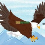 Bộ Sách Brown Bear Song Ngữ 4 cuốn - Kèm File nghe 9 z3260408968402 c0f265ac6be16626b6f4c306d69d3d0c