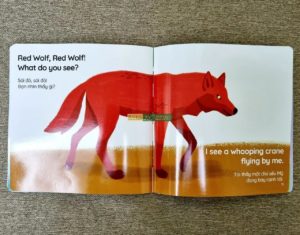 Bộ Sách Brown Bear Song Ngữ 4 cuốn - Kèm File nghe 14 Brown Bear Song Ngữ