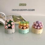 BỘ ĐỒ CHƠI LẮP GHÉP XẾP HÌNH CHẬU CÂY HOA PLANTE DE LAVIE SERI 2710 CHÍNH HÃNG JAKI 5 z6382198843160 f9c61887a3907179e2763e4e79699da0