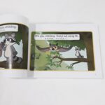 Sách Little Fox Tiếng Trung The Big Green Forest Chinese - 24 truyện (kèm file nghe và video) 3 20220527 192344 01