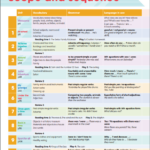 Academy Stars Level 3